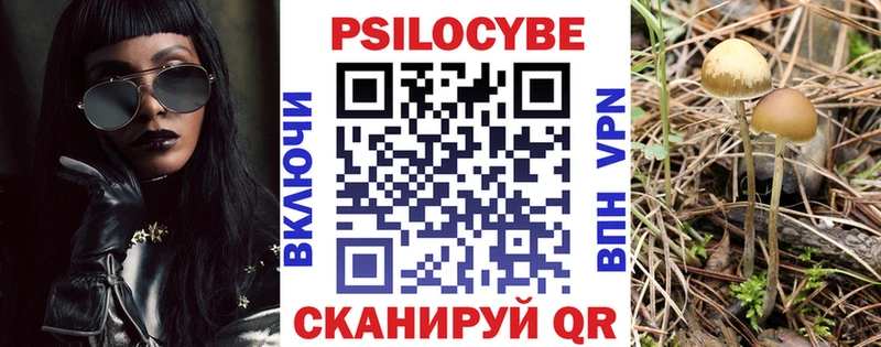продажа наркотиков  Карабаш  Галлюциногенные грибы Psilocybine cubensis 